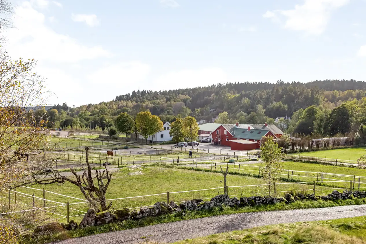 Thorsgården equestrian farm in Lindome surrounded by rolling meadows and forest